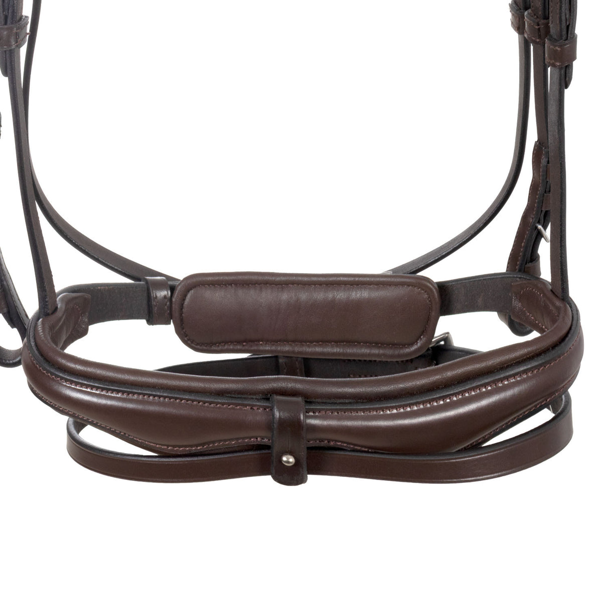 English bridle with anatomical noseband