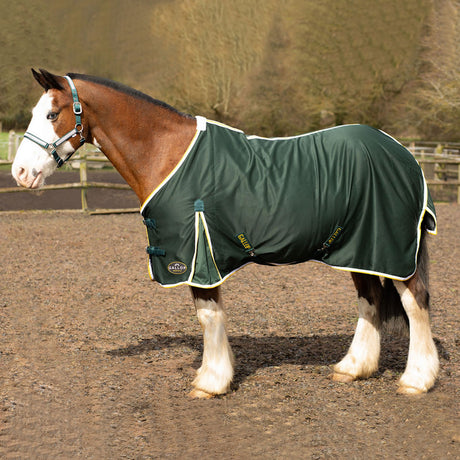 Gallop Summer Sheet #colour_green