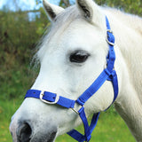 Gallop Headcollar & Lead Rope Set