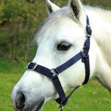 Gallop Headcollar & Lead Rope Set