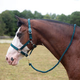 Gallop Premium Padded Headcollar With Lead Rope #colour_green
