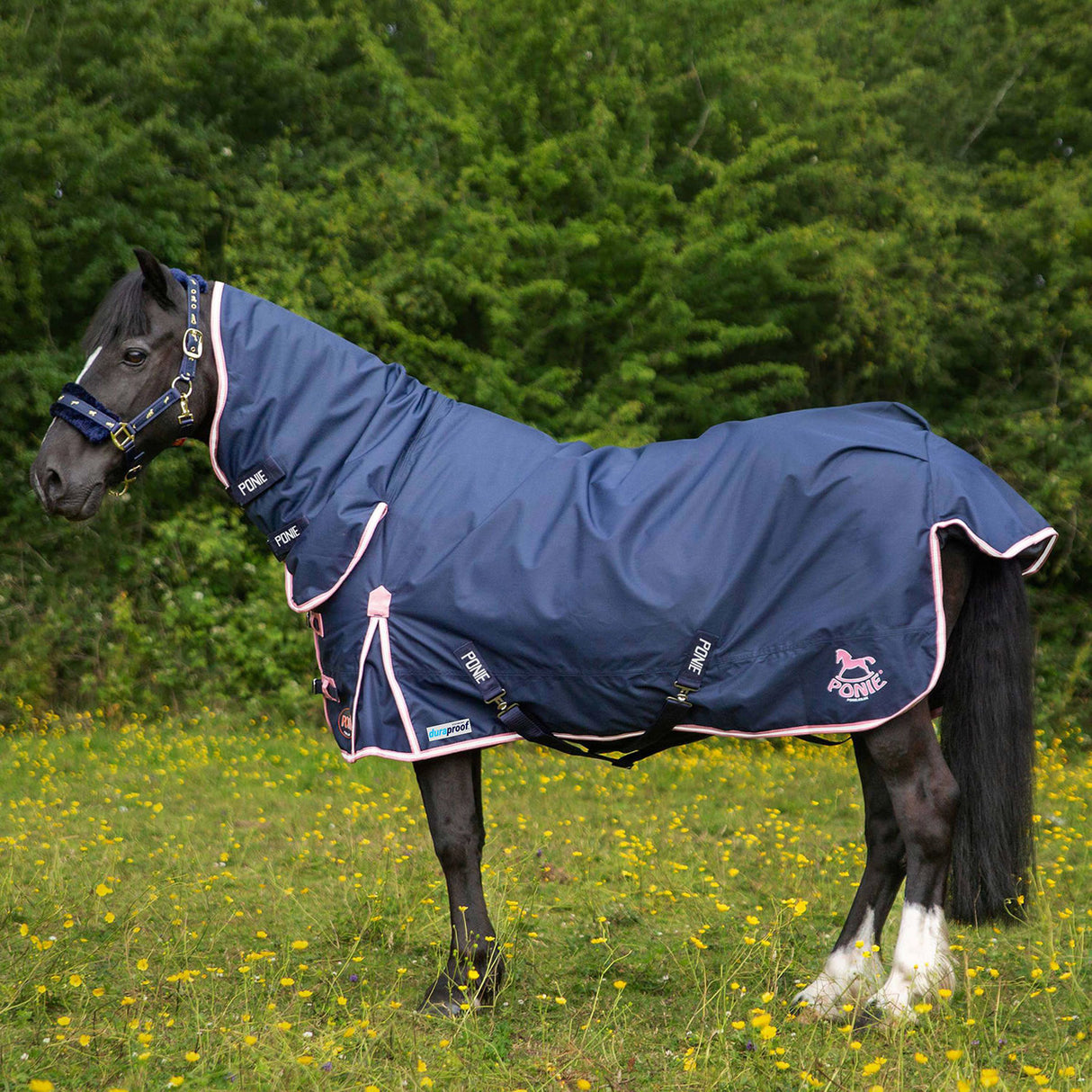 Gallop Ponie Duraproof 50g Combo Turnout Rug