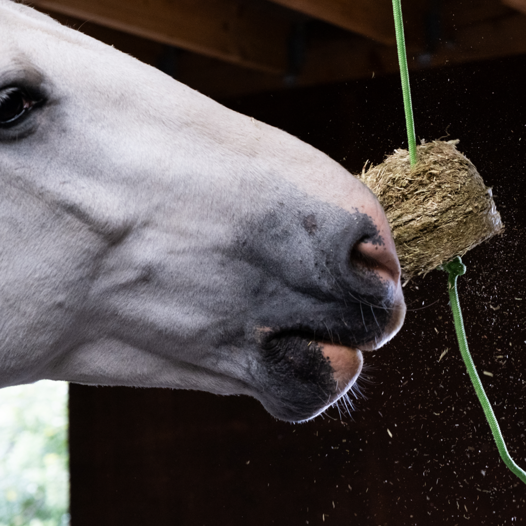 Silvermoor Swingers Bumper Pack