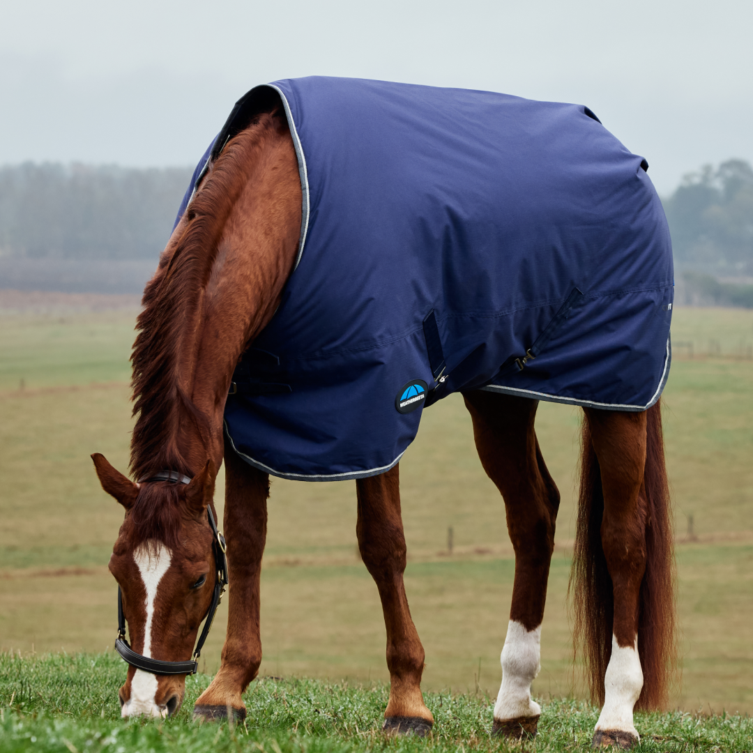 Weatherbeeta Comfitec Tyro 220G Standard Neck Turnout #colour_navy-charcoal
