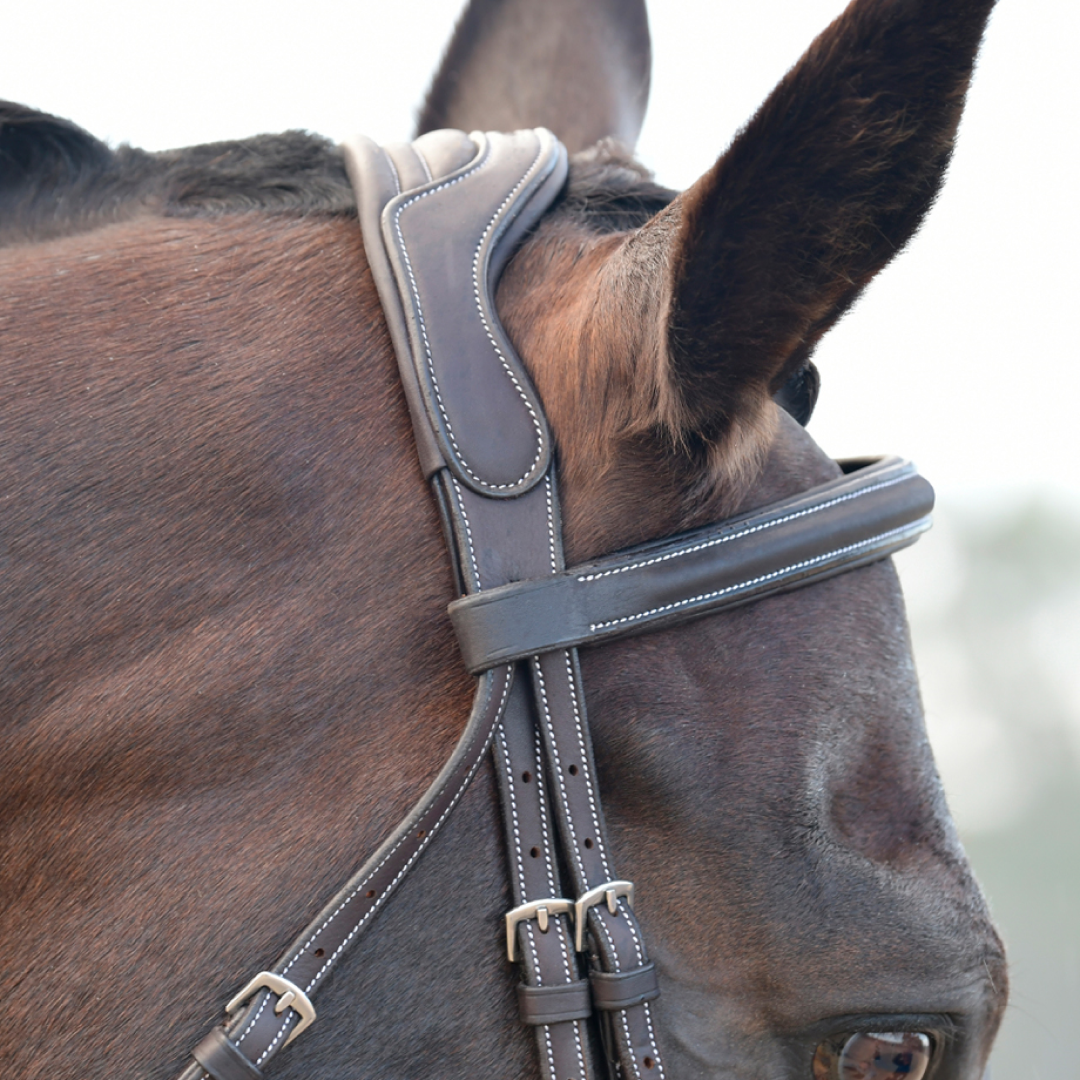 Collegiate Comfitec Opulux Fancy Stitch Padded Hanoverian Bridle #colour_dark-brown
