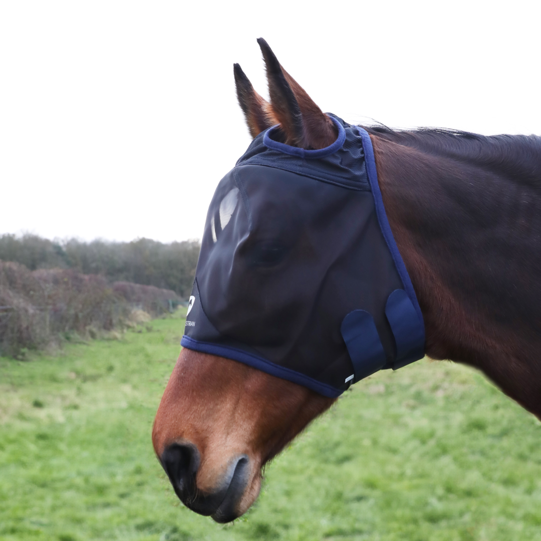 Hy Equestrian Mesh Half Mask Without Ears #colour_black-navy