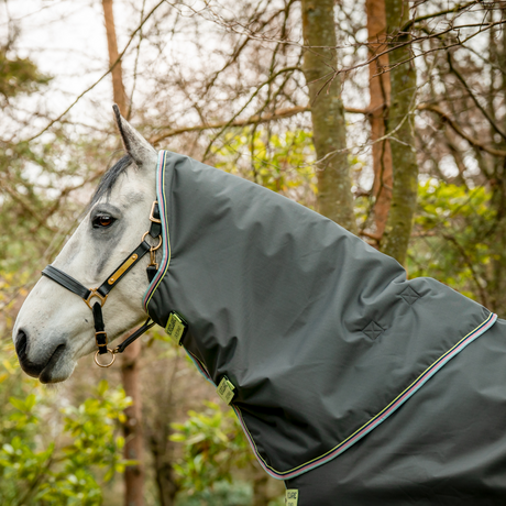 Horseware Ireland Amigo Hero 600D With Ripstop Plus 100g #colour_shadow-lime-navy