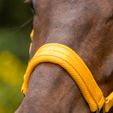 Covalliero Padded Headcollar #colour_sun