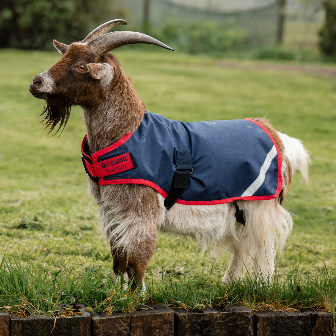 Horseware Ireland 200g Goat Coat