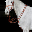 Whitaker Valencia Luxury Martingale #colour_tan
