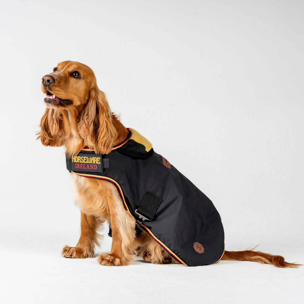 Horseware Ireland Newmarket Dog Coat #colour_witney-gold