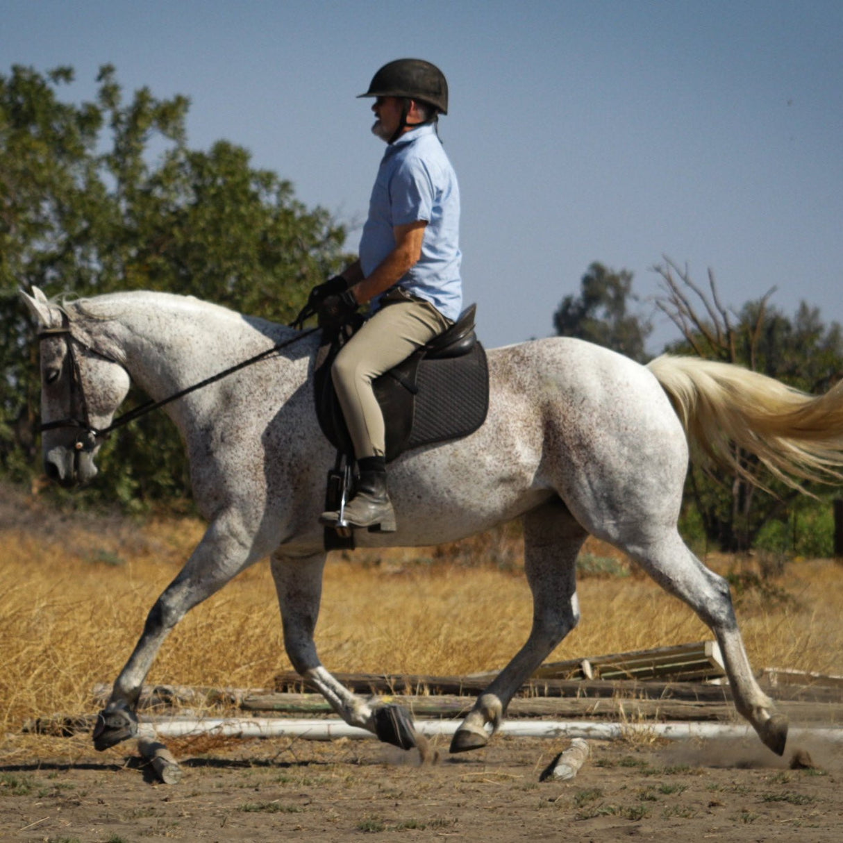 Cavallo Sport Boot Regular With FOC Hoof Pick & Brush