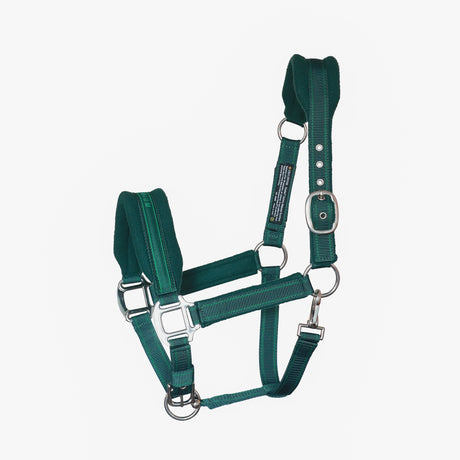 Equilibrium Stellar Style Headcollar