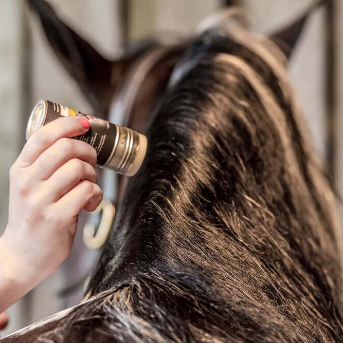 Smart Grooming Plaiting Wax