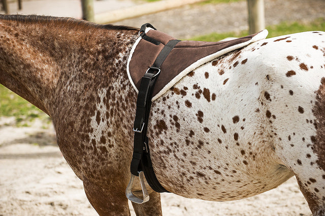 Norton Soft Bareback Riding Pad #colour_brown-beige