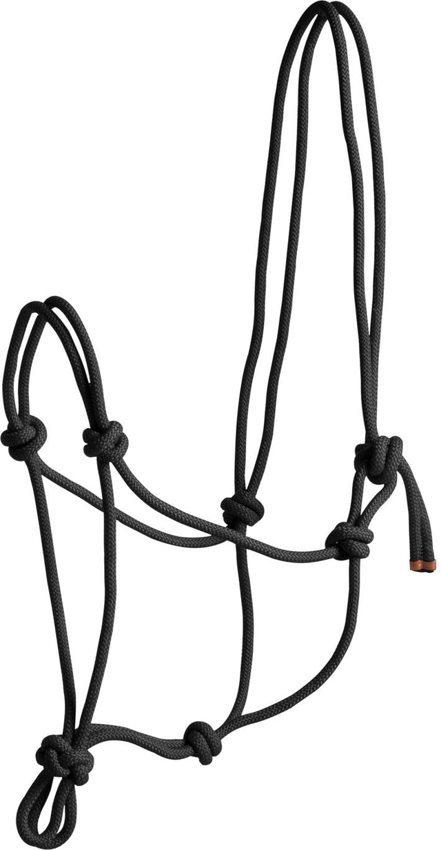 Norton First Rope Headcollar #colour_black