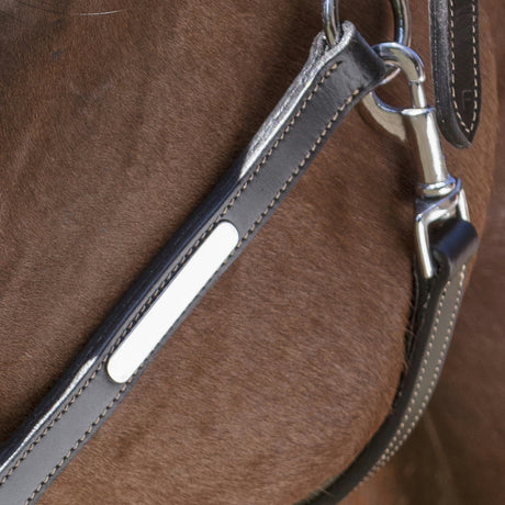 Norton Pro Grooming Leather Headcollar #colour_black