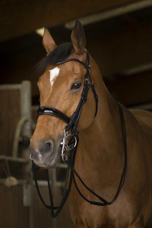 Norton Pro Bridle Reins In Round Leather #colour_black