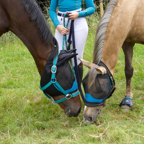 Woof Wear UV Fly Mask with Ears #colour_black-turquoise