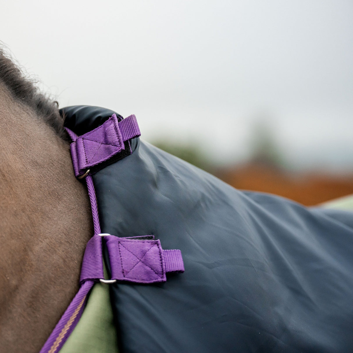 Horseware Ireland Amigo Hero 600D With Ripstop Plus 100g #colour_bramble-winterberry-taupe