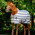Horseware Ireland Newmarket Pony Fleece Cooler #colour_witney-charcoal