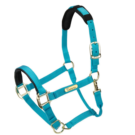 Licol Shires Topaz en nylon