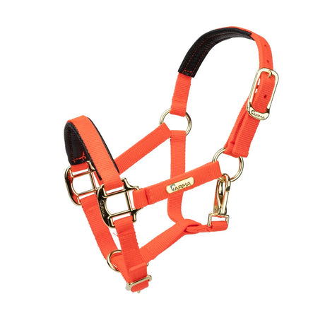 Licol Shires Topaz en nylon