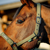 Horseware Ireland Amigo Headcollar & Leadrope Set #colour_bramble