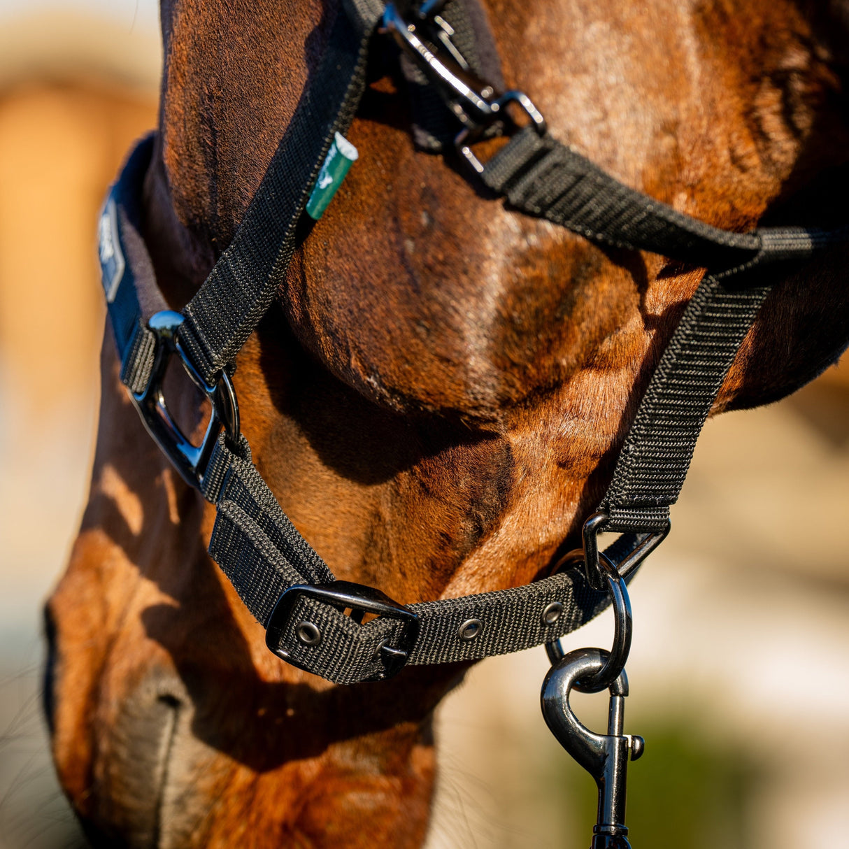 Horseware Ireland Amigo Headcollar & Leadrope Set #colour_black