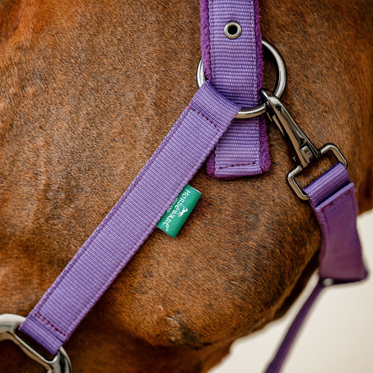 Horseware Ireland Amigo Headcollar & Leadrope Set #colour_winterberry