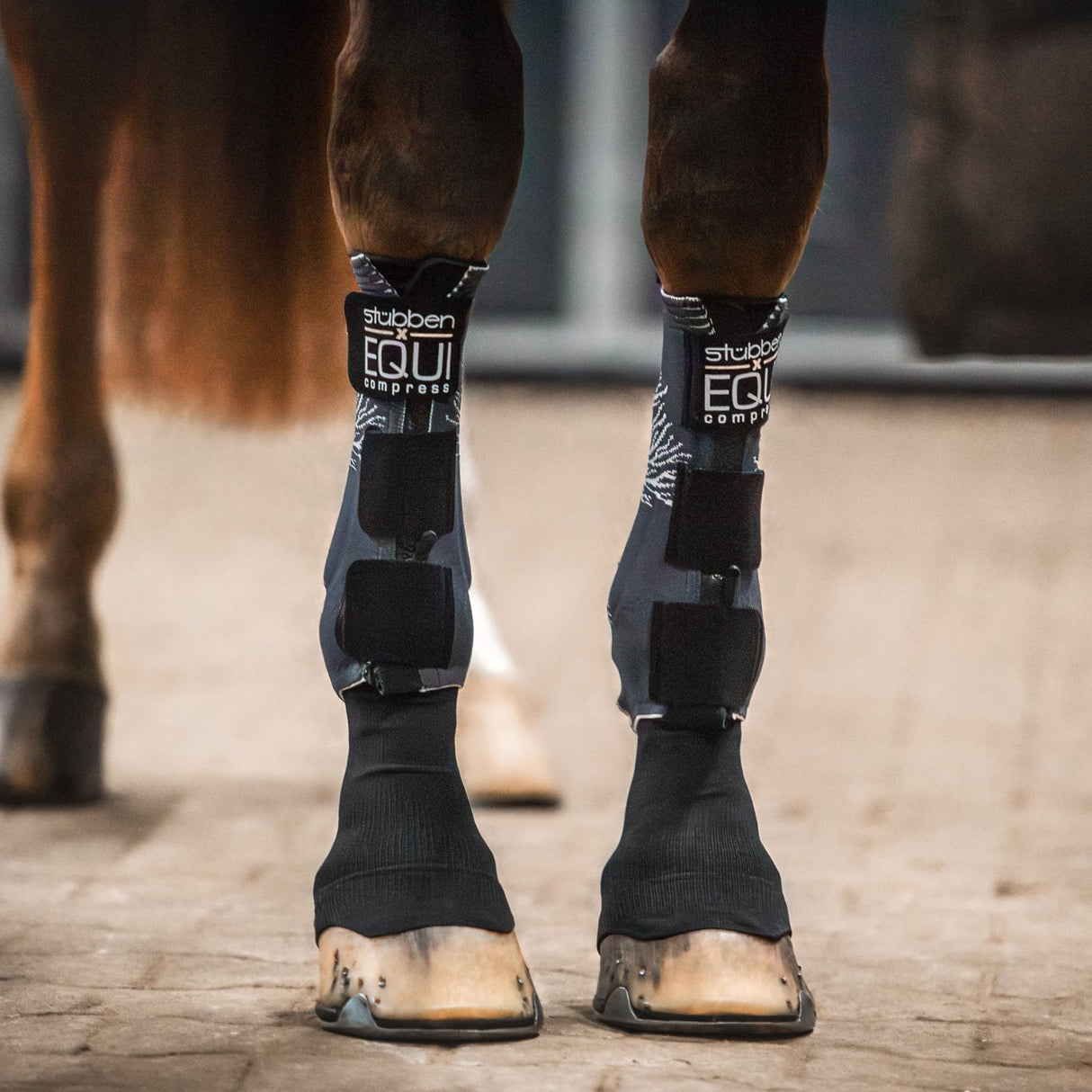 Stubben EQUI Compress Set Hind Legs