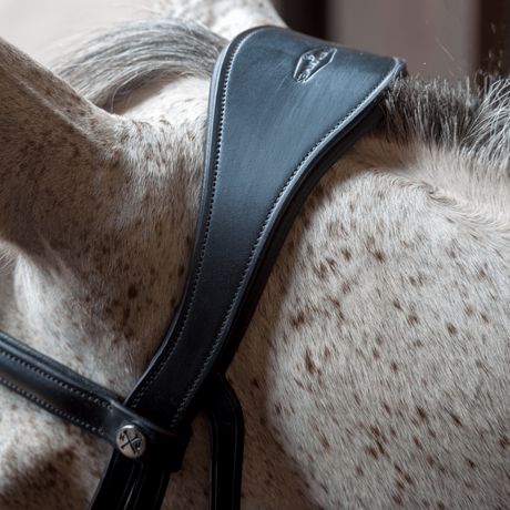 Henry James Dressage Bridle #colour_black