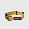 Dubarry Apollo Dog Collar