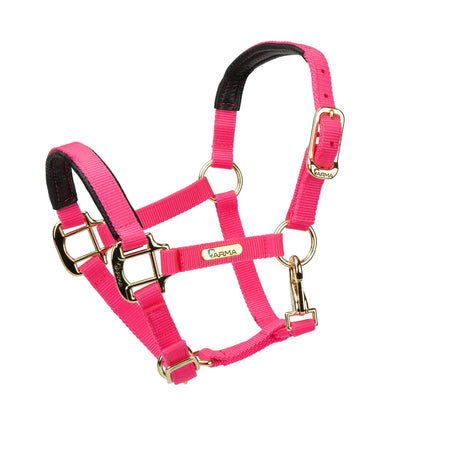 Licol Shires Topaz en nylon