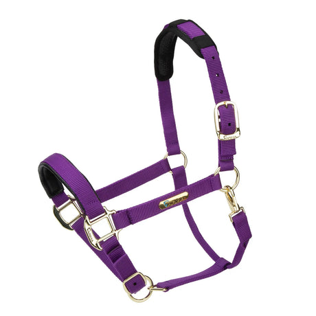 Licol Shires Topaz en nylon