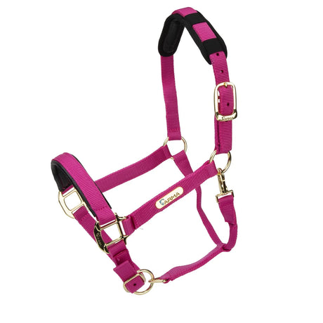 Licol Shires Topaz en nylon