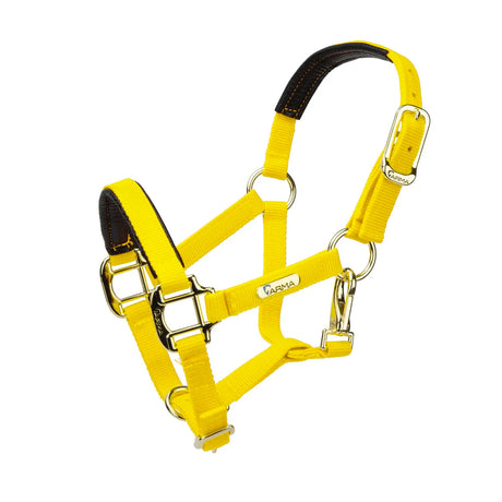 Licol Shires Topaz en nylon
