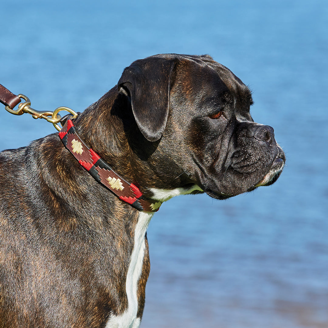 #colour_cowdray-brown-black-red-white