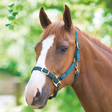 Shires Adjustable Headcollar #colour_green