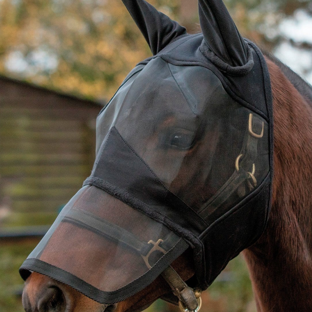 Mark Todd Padded Full Face Fly Mask #colour_black