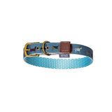 Danish Design Fatface Marching Dogs Collar