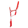 Hy Equestrian Christmas Merry Christmas Head Collar & Lead Rope Set