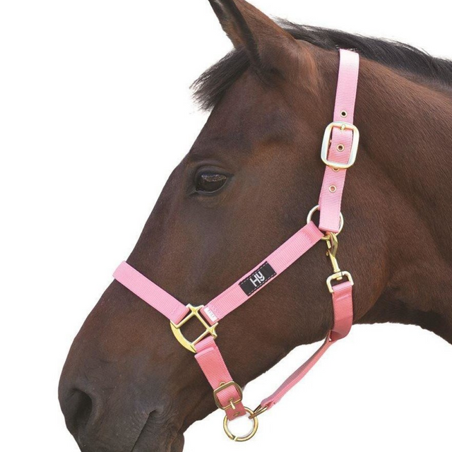 #colour_baby-pink