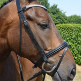 Hy Diamond Flash Bridle with Rubber Reins
