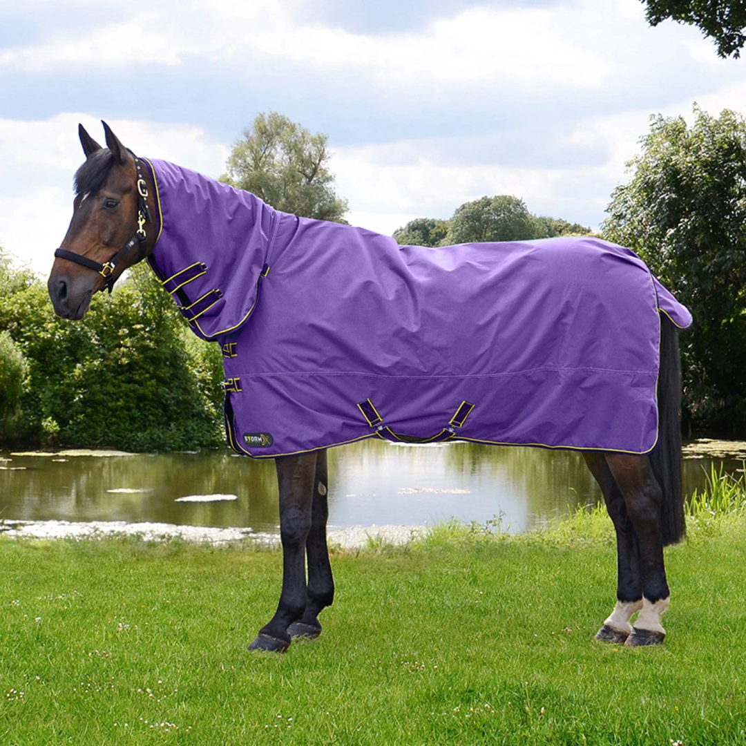 StormX Original 50g Combo Turnout Rug #colour_purple-dark-purple-yellow