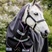 Horseware Ireland Rambo Supreme Hood 150g #colour_navy-burgundy-dusty-blue-navy