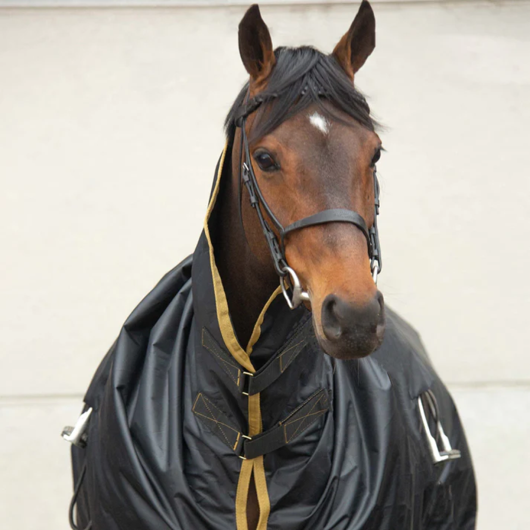 Supreme Products Pro Groom Regendecke