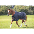 Typhoon 200g Turnout Rug