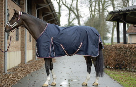 HKM Kombi Turnout Rug #colour_deep-blue