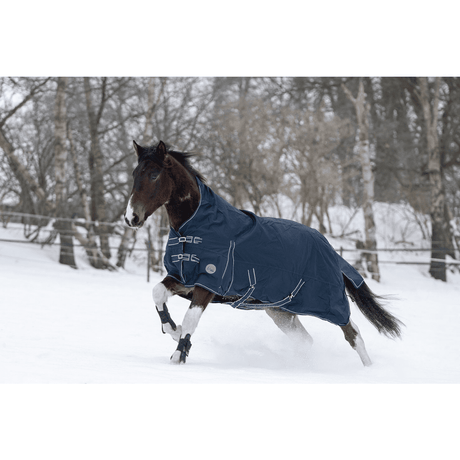 HKM Starter 600D Fleece Lining Highneck Rug #colour_deep-blue